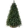 Новогодняя пихта TRIUMPH TREE, Прелестная, 305 см, зеленая 73071